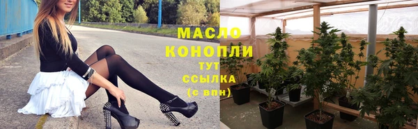 амф Надым